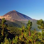 Apartamento Teide Trails House Experience Tenerife Nature Chirche